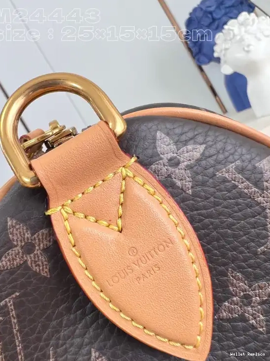 Affordable Louis SPEEDY 25 Vuitton 0707